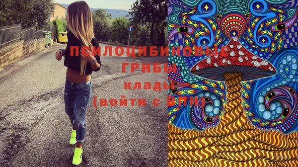 кристаллы Дмитриев