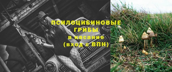 2c-b Дмитров