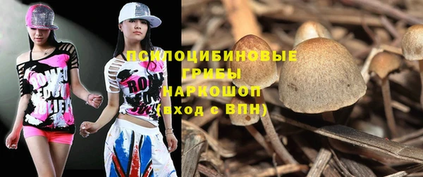 кристаллы Дмитриев