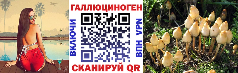Купить закладки  Тейково  Галлюциногенные грибы MAGIC MUSHROOMS 