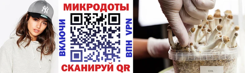 Псилоцибиновые грибы мухоморы Тейково